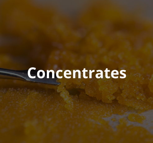 concentrates