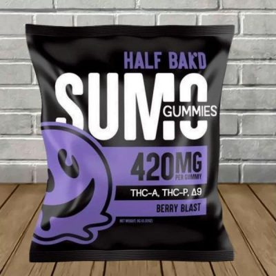 Hmp - Half Bakd - Gummies 2 pk 420 mg - Berry Blast - Single