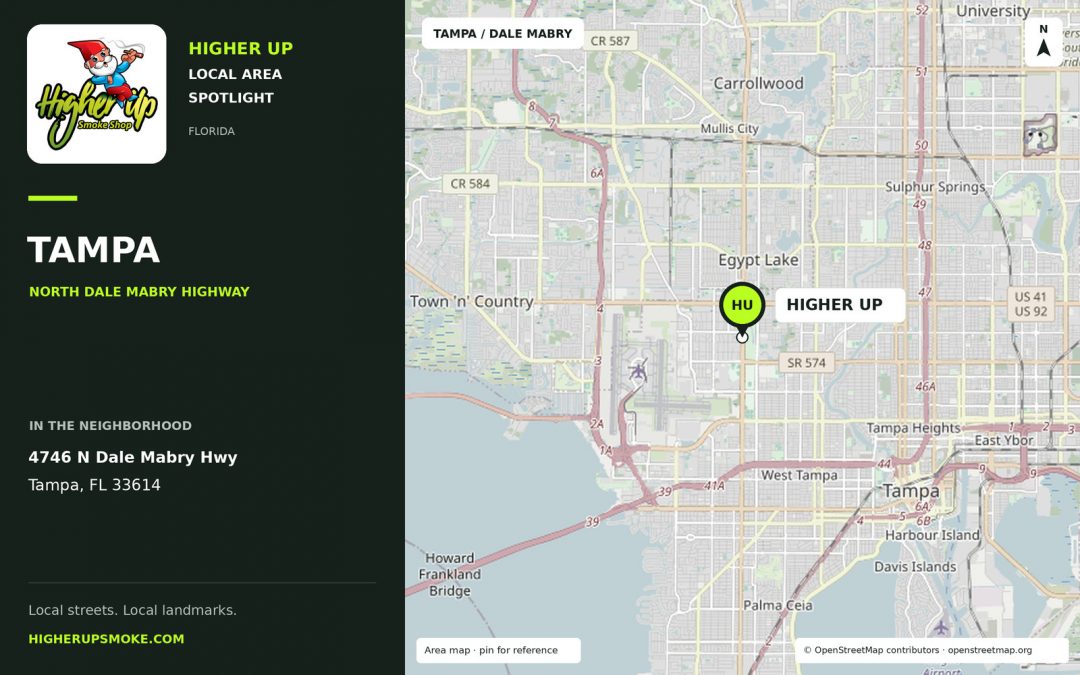 Higher Up Tampa · Dale Mabry area map showing the store at 4746 N Dale Mabry Hwy, Tampa, FL 33614.